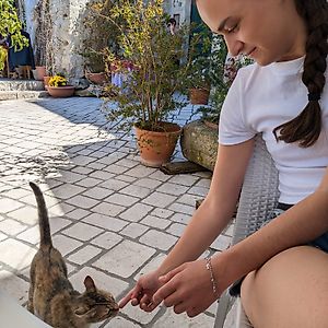 Profile picture for Caitlin D